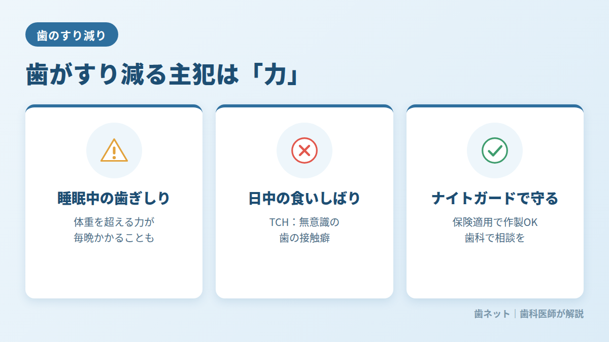 歯がすり減る主な原因：歯ぎしり・食いしばり・TCH