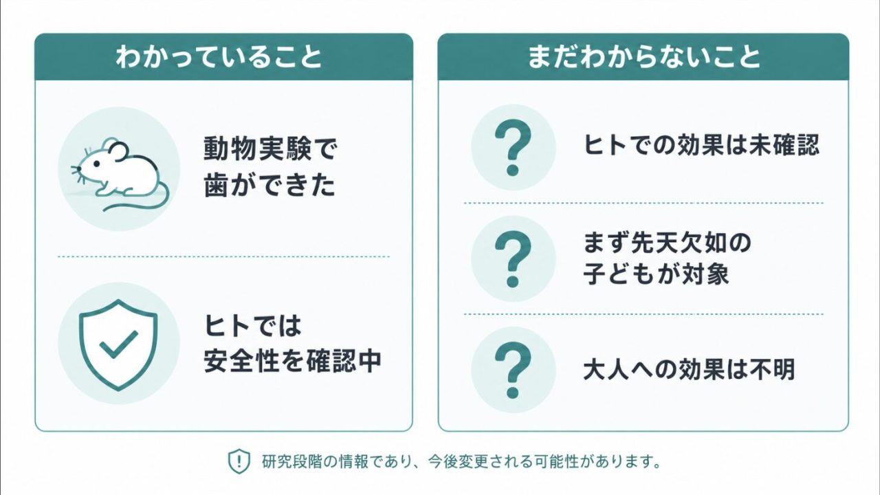 歯が生える薬について“わかっていること”と“まだわからないこと”を左右で比べた図