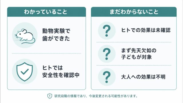 歯が生える薬について“わかっていること”と“まだわからないこと”を左右で比べた図