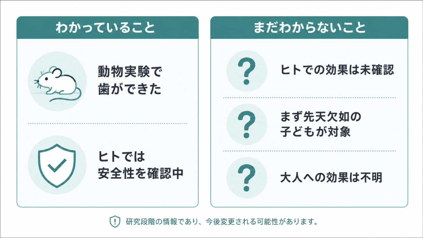 歯が生える薬について“わかっていること”と“まだわからないこと”を左右で比べた図
