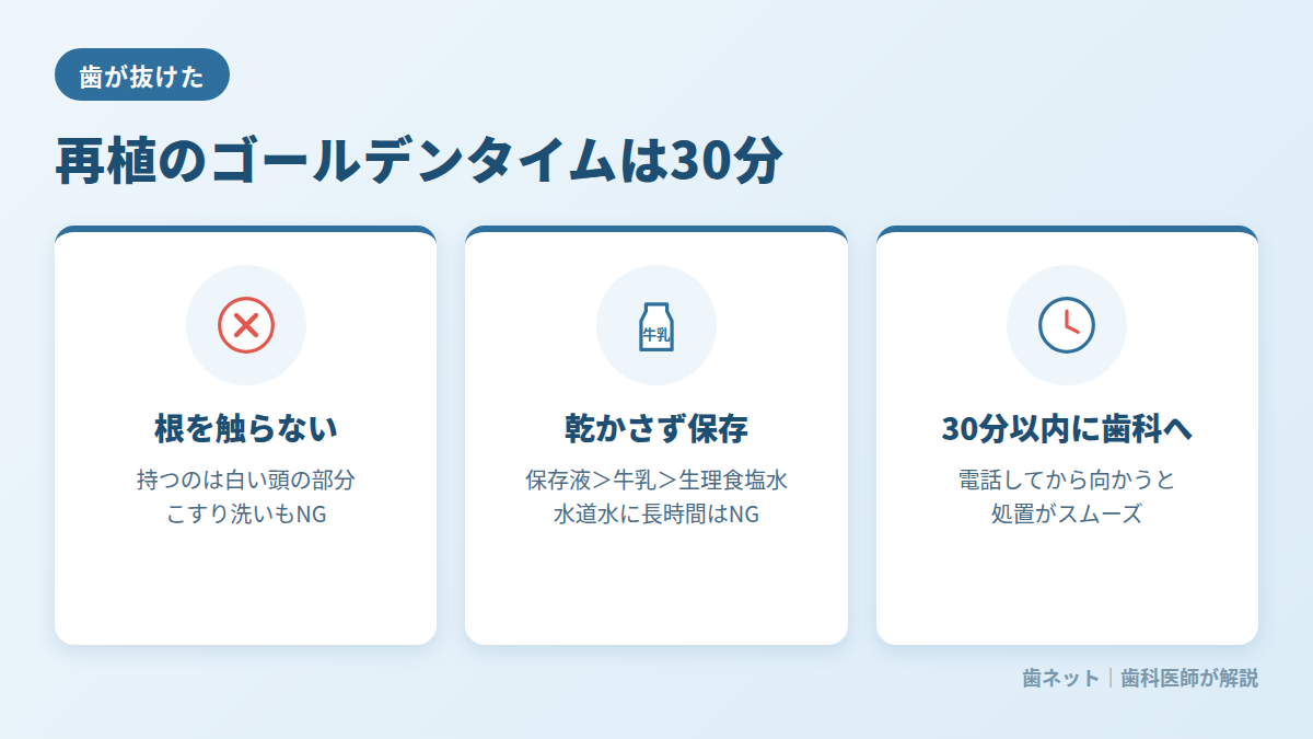 歯が抜けたときの応急処置:根を触らない・乾かさない・30分以内に歯科へ