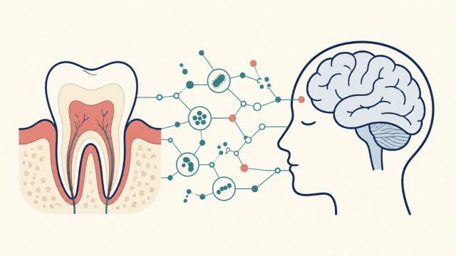 歯と歯ぐきから神経・分子のネットワークが脳へとつながる口腔–脳軸を表すフラットイラスト