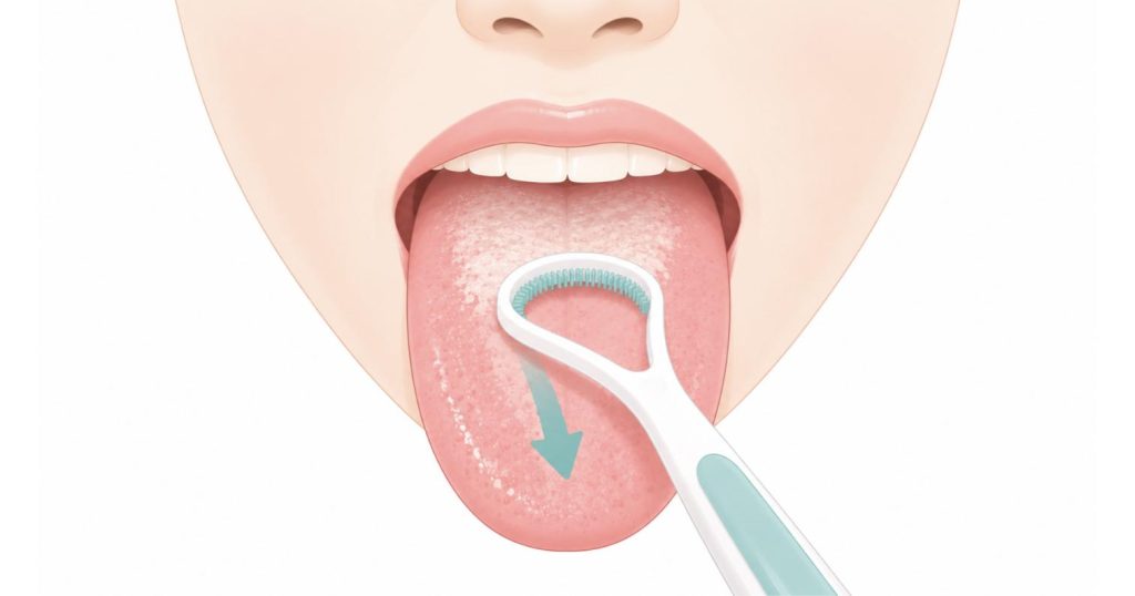 舌ブラシを使って、舌の奥から手前へやさしく動かして舌苔を清掃するイラスト。