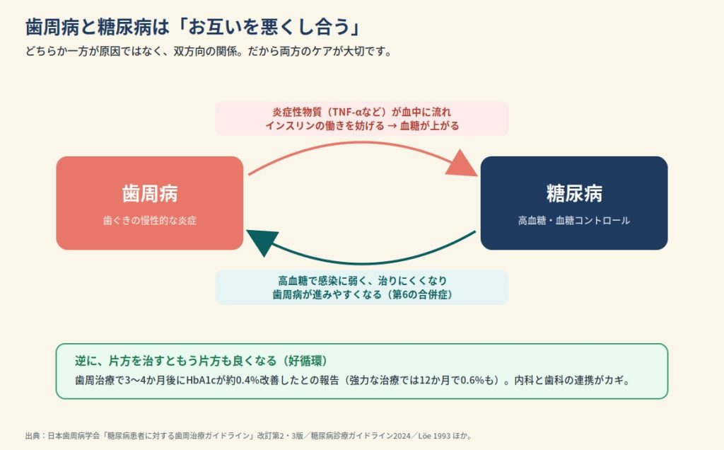 歯周病と糖尿病の双方向の関係。歯周病の炎症がインスリンの働きを妨げ、糖尿病の高血糖が歯周病を悪化させる。