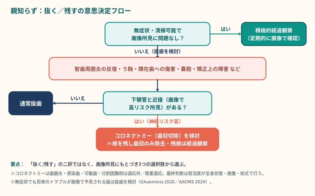 親知らずを抜く・残す・経過観察のいずれを選ぶかを画像所見と下歯槽神経リスクから示した意思決定フロー図