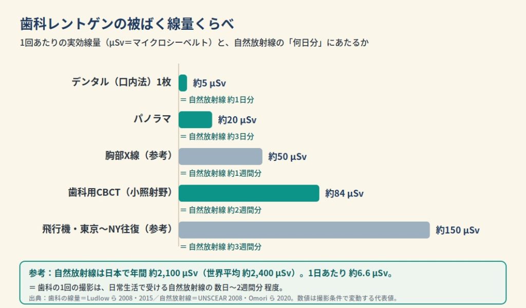 歯科レントゲン（デンタル・パノラマ・歯科用CBCT）の被ばく線量を胸部X線・飛行機・自然放射線と比較した図。デンタル約5µSv、パノラマ約20µSv、CBCT小照射野約84µSvで、いずれも自然放射線の数日〜2週間分程度。