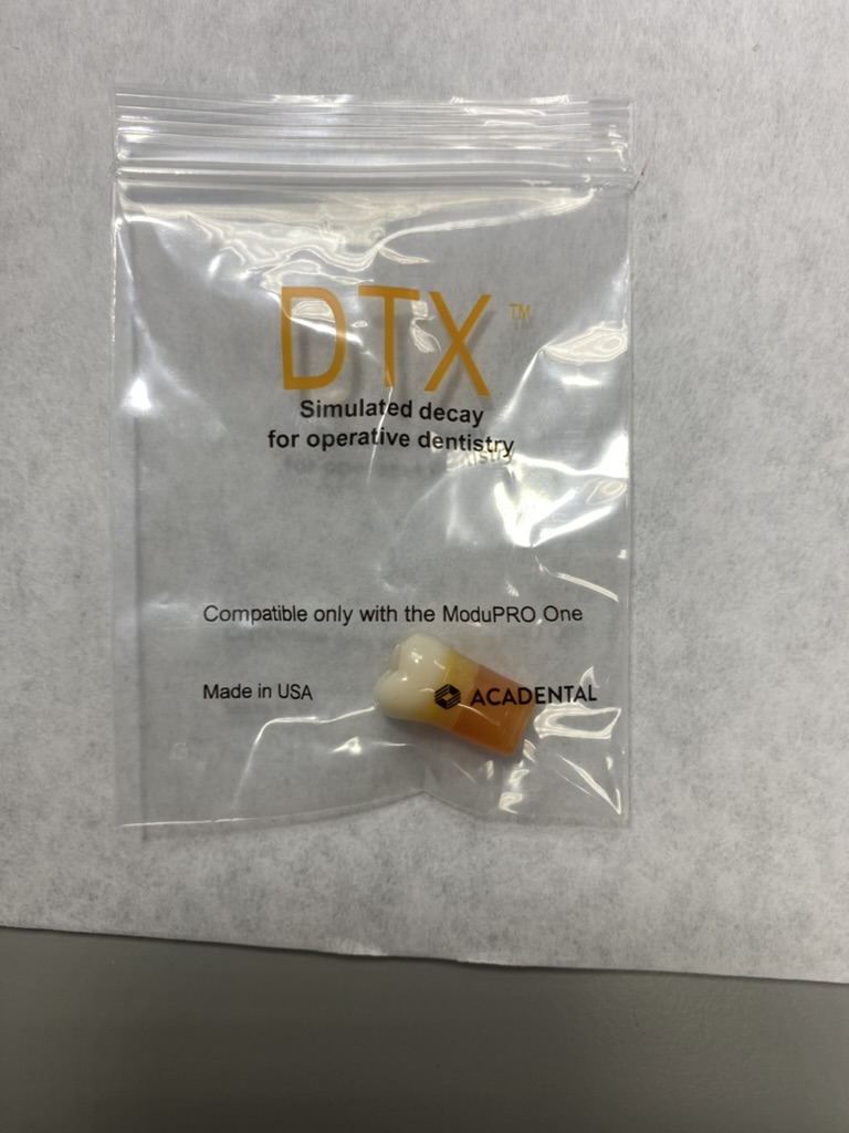 DTXと印字された小袋に入った模型歯。歯冠部が白く、歯根側がオレンジ色に着色されている