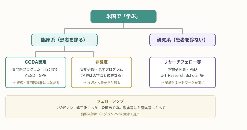 米国の歯科留学プログラム分類図。臨床系と研究系、臨床系はCODA認定の有無で分かれることを示す