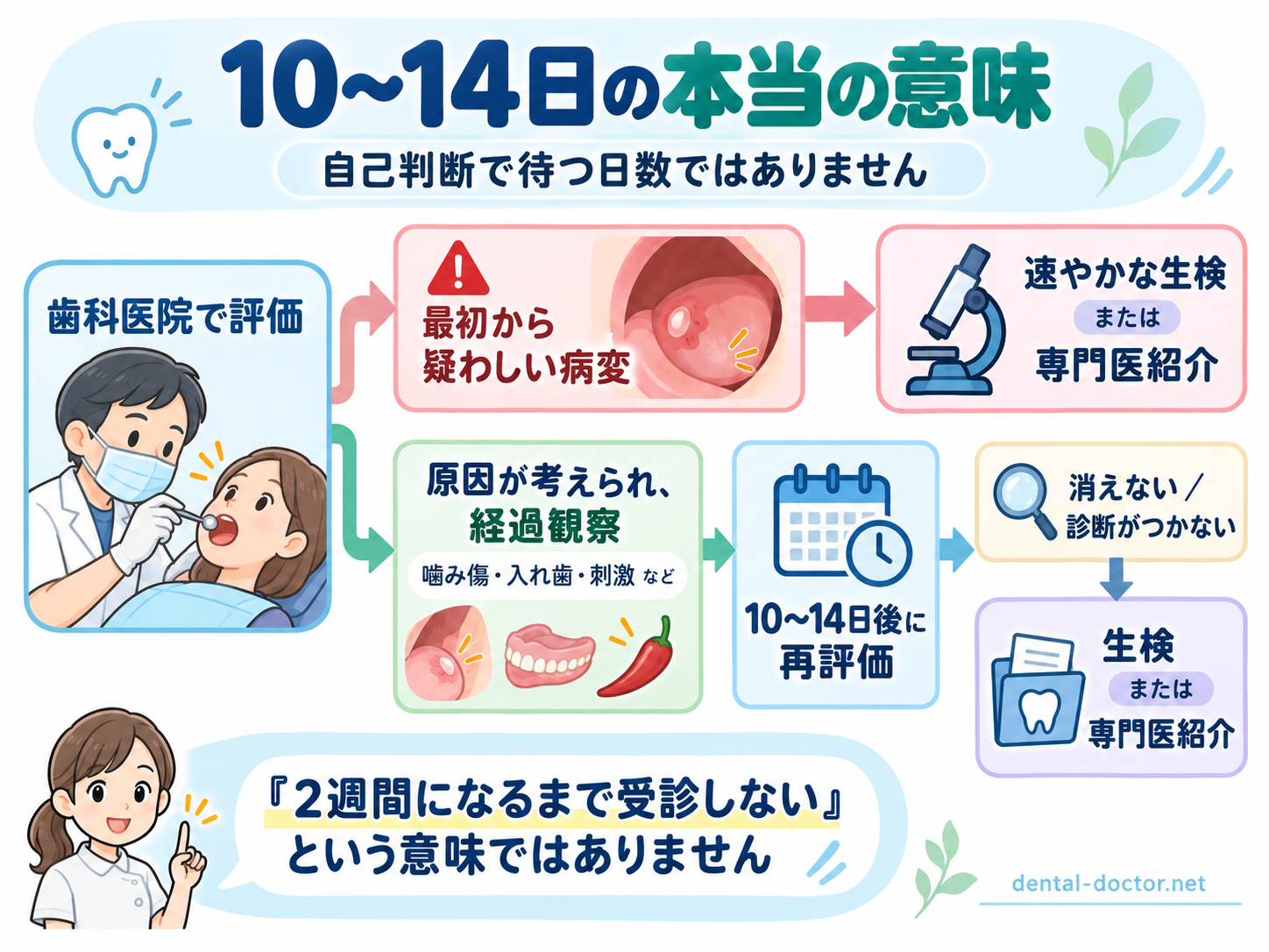 口内炎などの口腔病変を10〜14日後に再評価し、生検や専門医紹介を検討する流れ