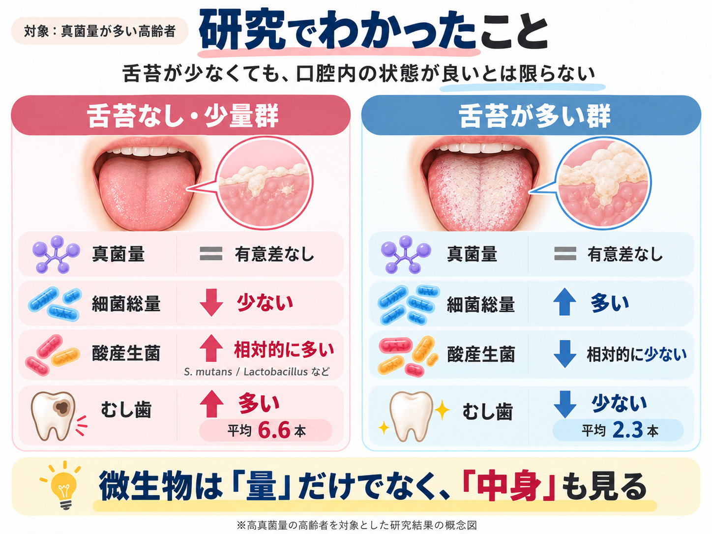 真菌量が多い高齢者における舌苔なし・少量群と舌苔が多い群の違いをまとめた図